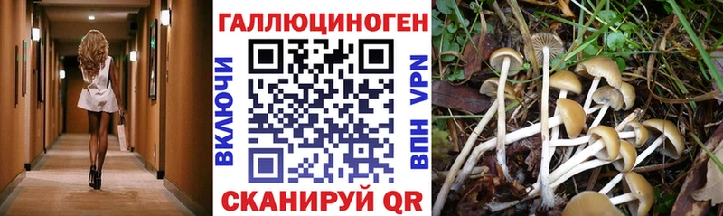 Псилоцибиновые грибы мухоморы  Октябрьский 